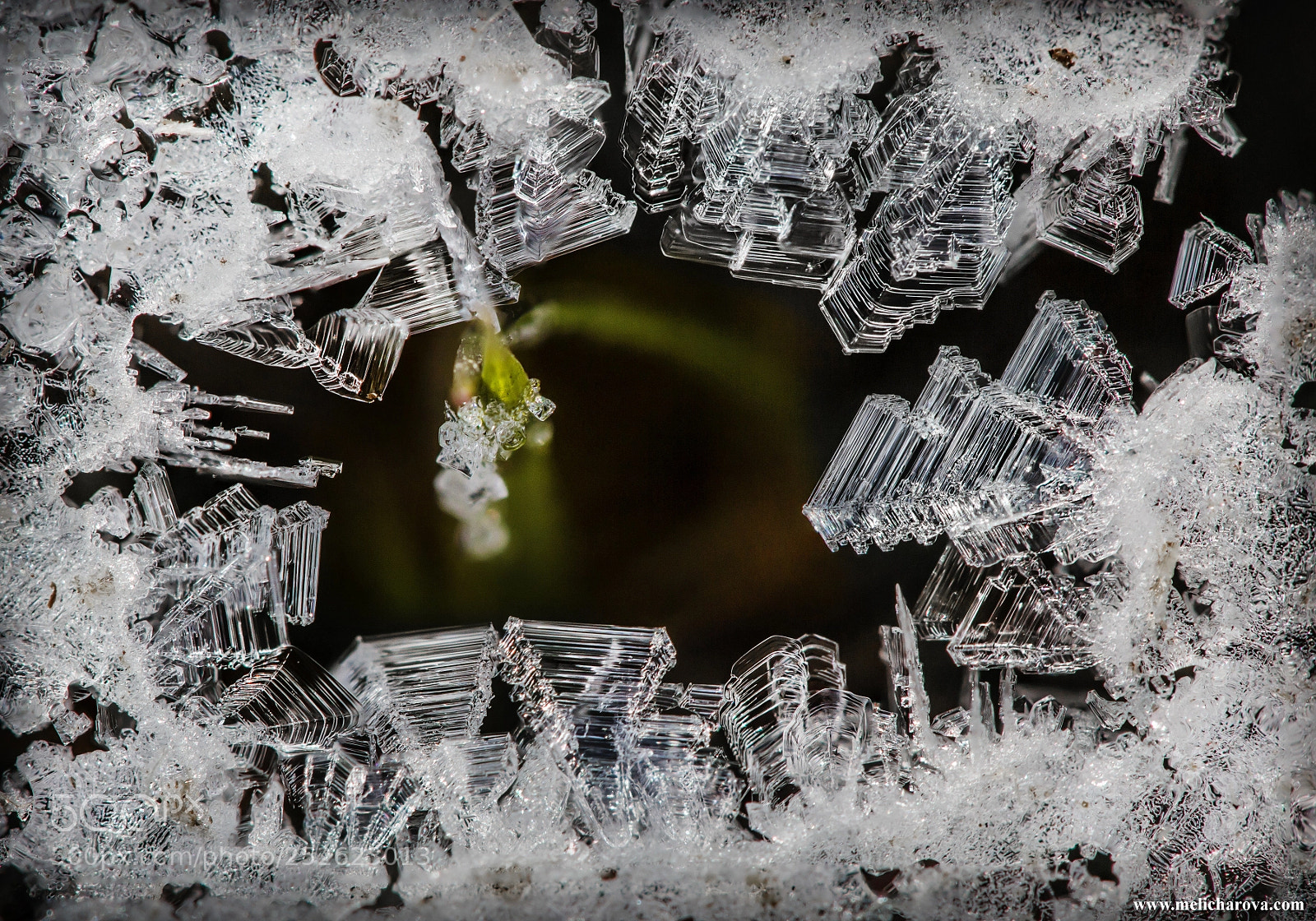 Canon EOS 60D sample photo. Ice crystals 7 photography