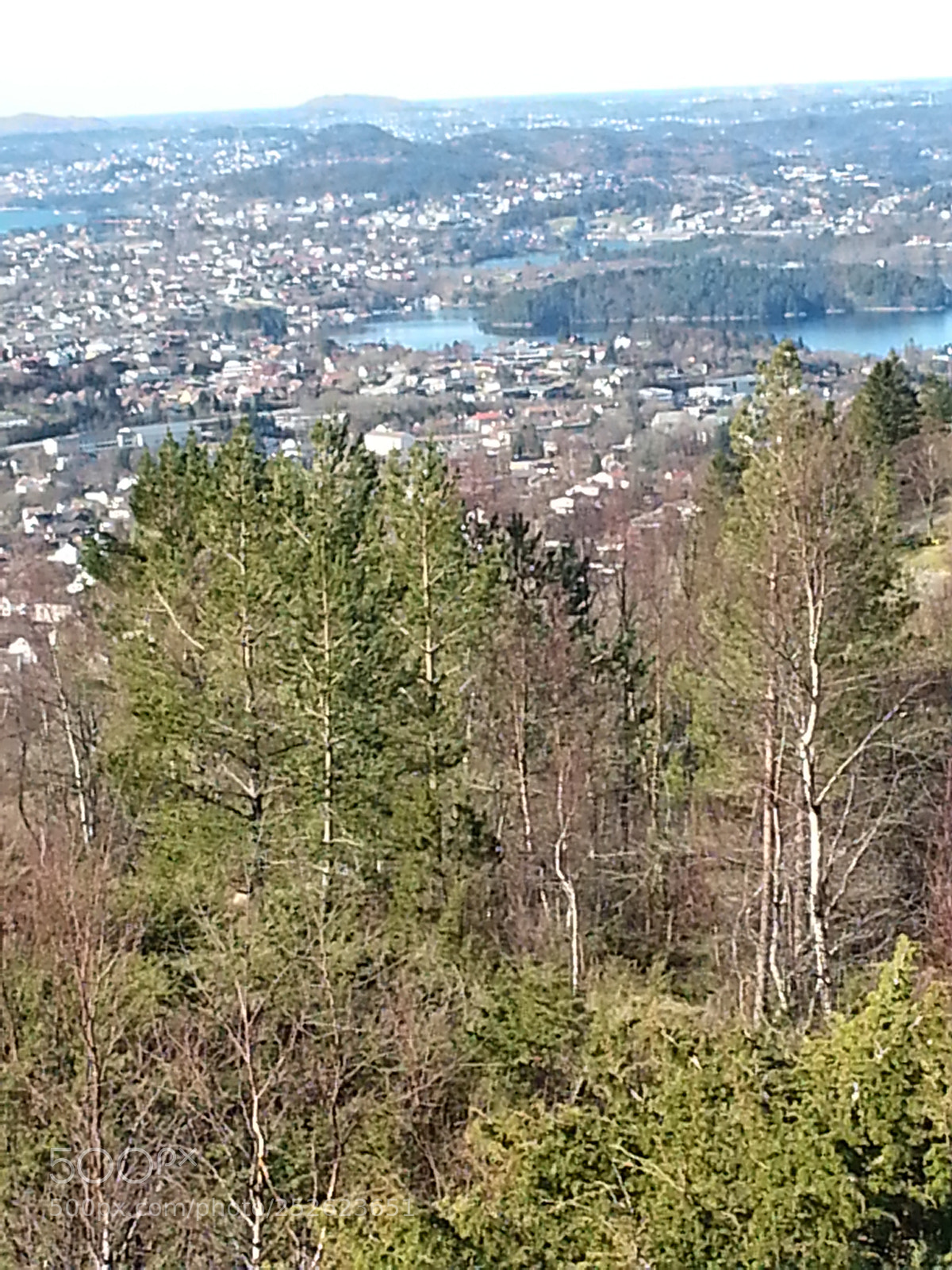 Samsung Galaxy S3 sample photo. 20150321_125444.jpg photography