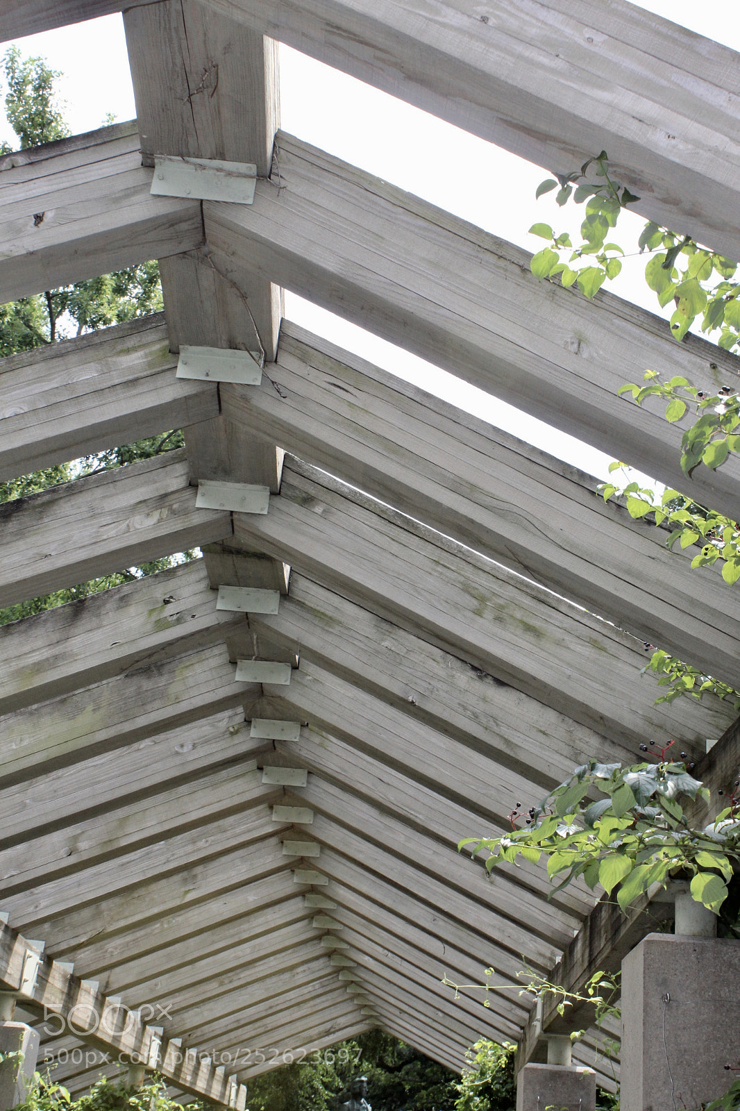 Canon EOS 1200D (EOS Rebel T5 / EOS Kiss X70 / EOS Hi) sample photo. Fullsizeoutput e photography