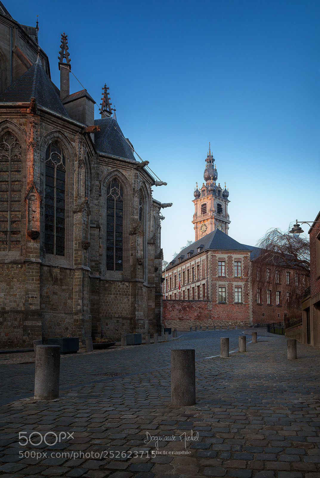 Canon EOS 5D Mark II sample photo. Mons - le beffroi photography