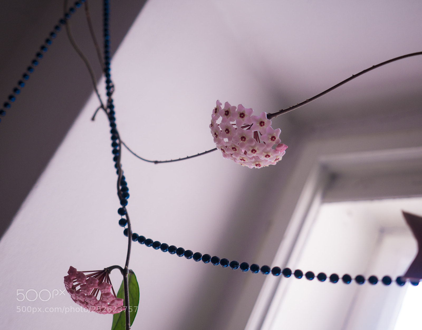 Panasonic DMC-G81 sample photo. B photography