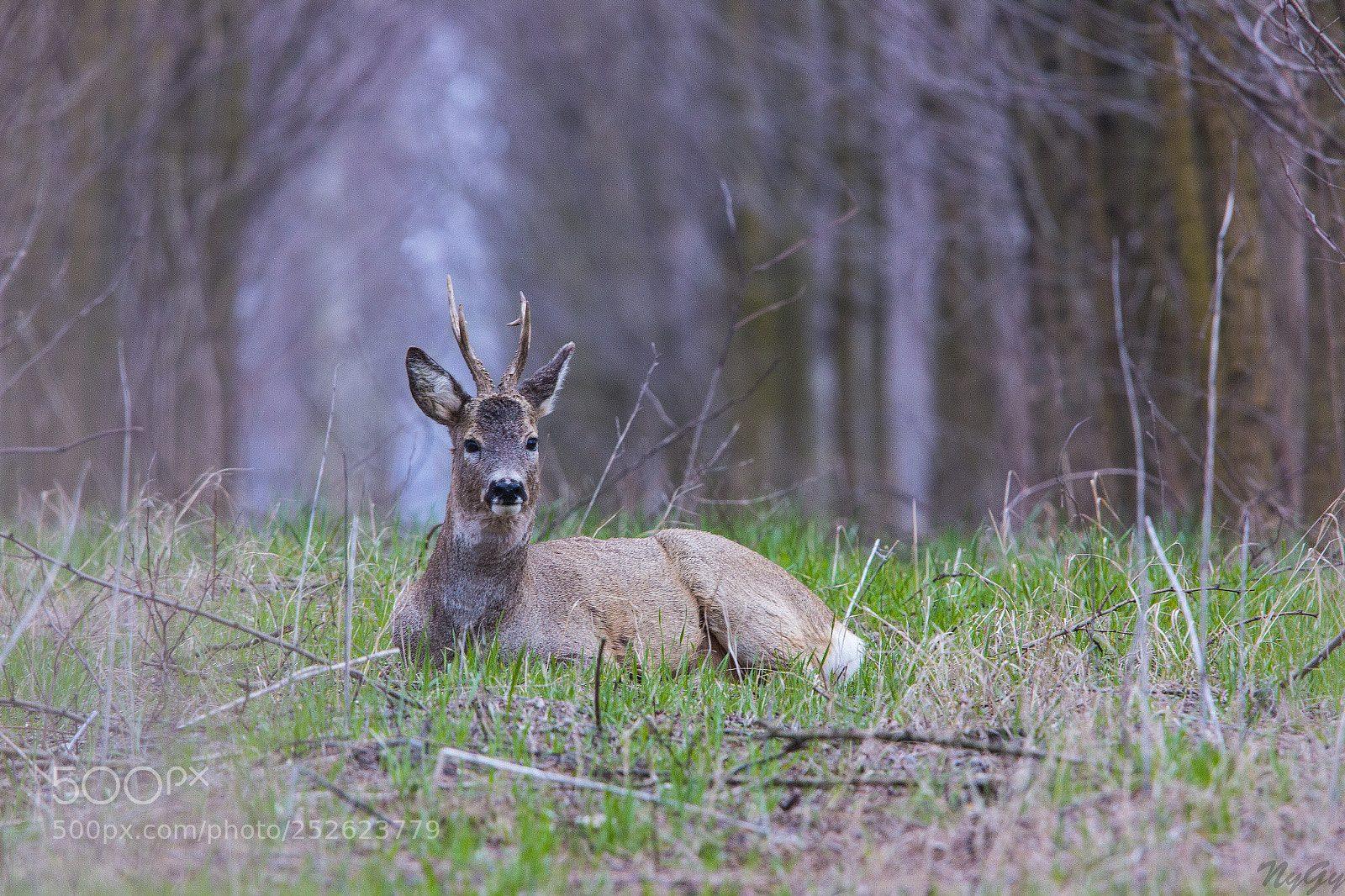 Canon EOS 70D sample photo. Relax photography