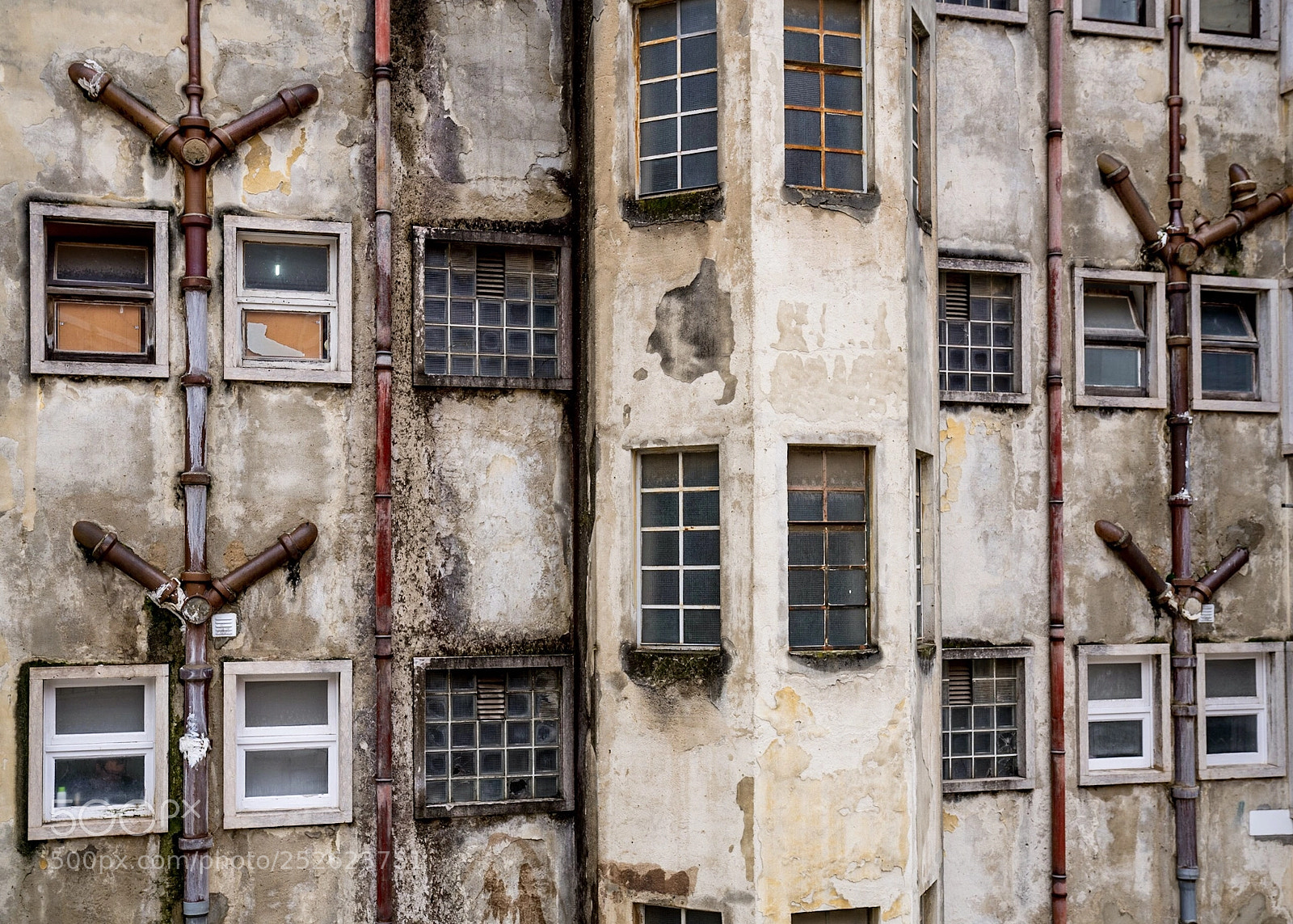 Sony a7R III sample photo. Fenêtres sur cour photography