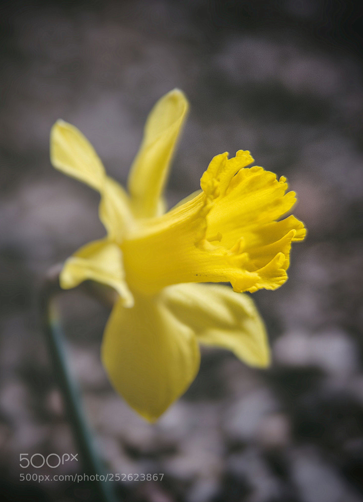 Nikon D7000 sample photo. Light in darkness photography