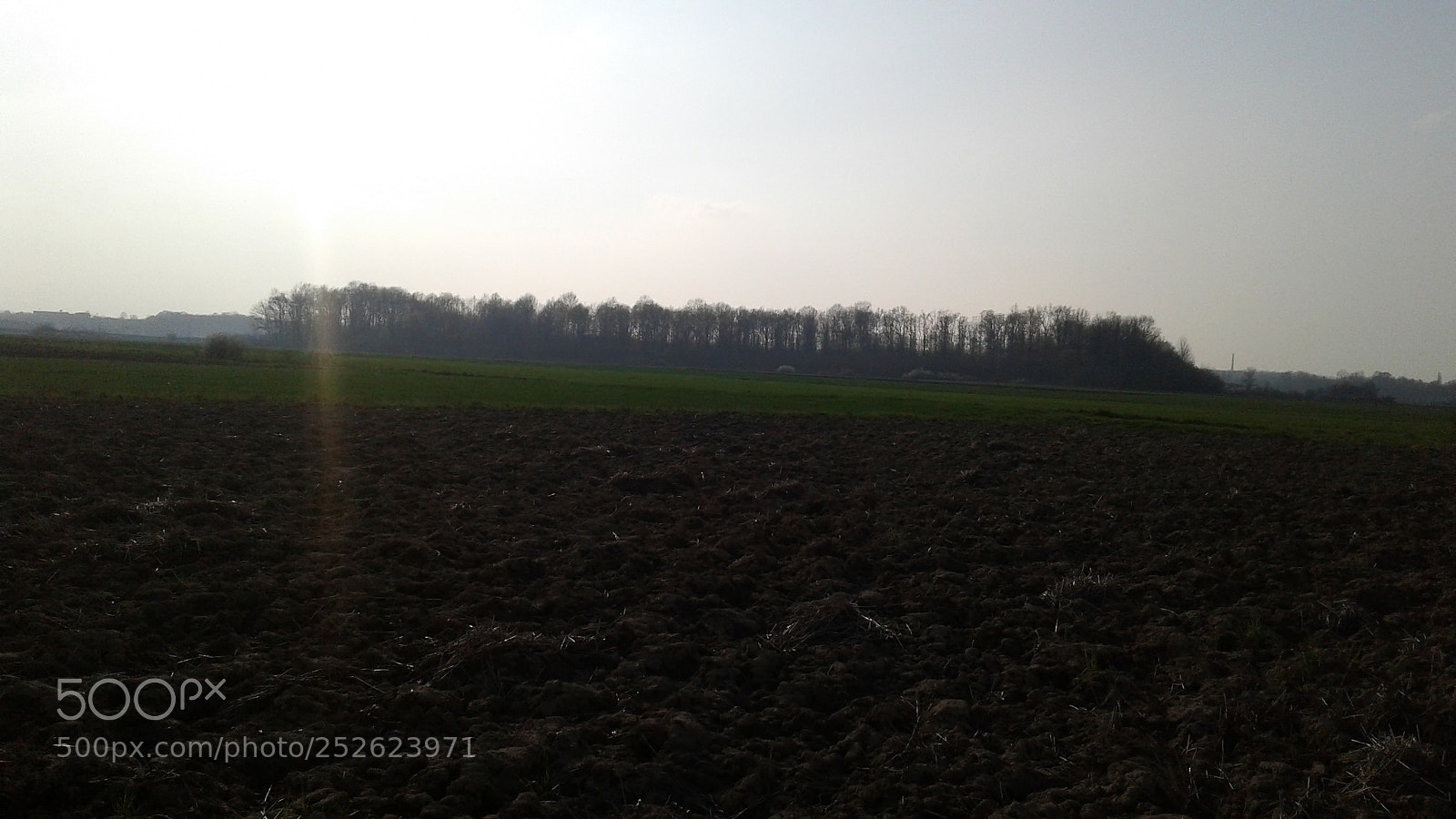 Samsung Galaxy J1 sample photo. Untitled photography