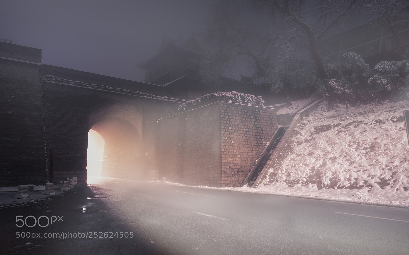 Nikon D810 sample photo. Fog photography