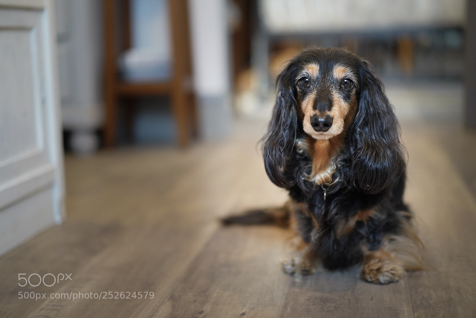 Sony a7 III sample photo. Untitled photography