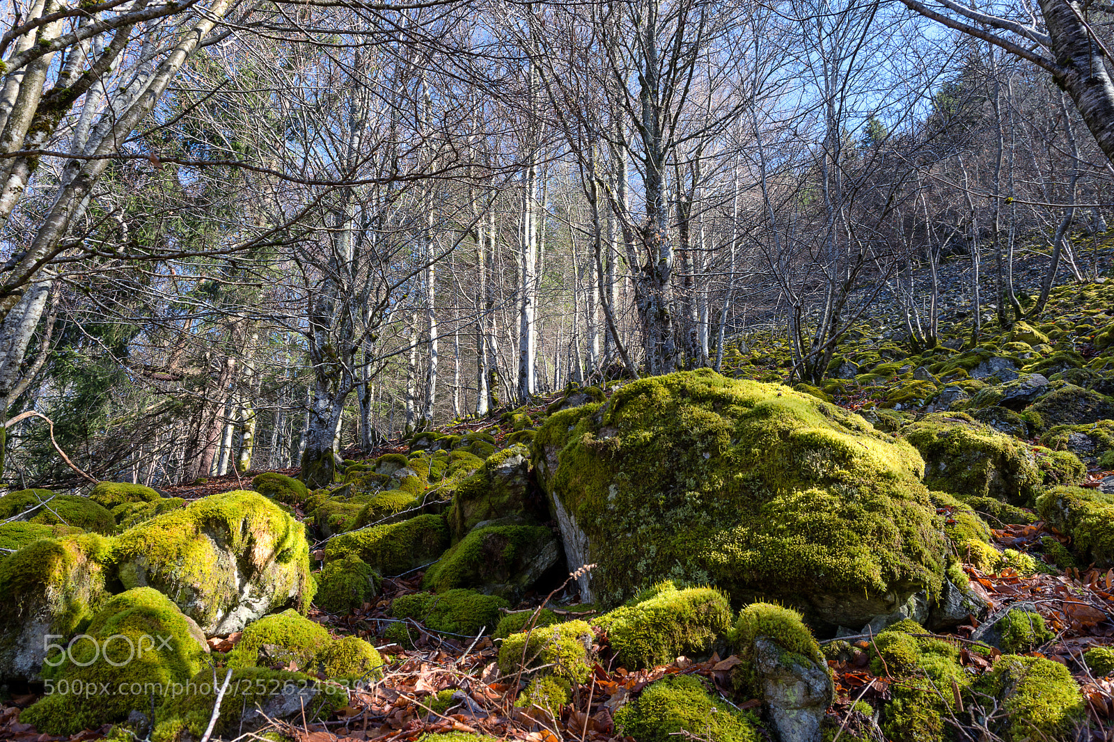 Nikon D7200 sample photo. Gletscherkessel präg photography