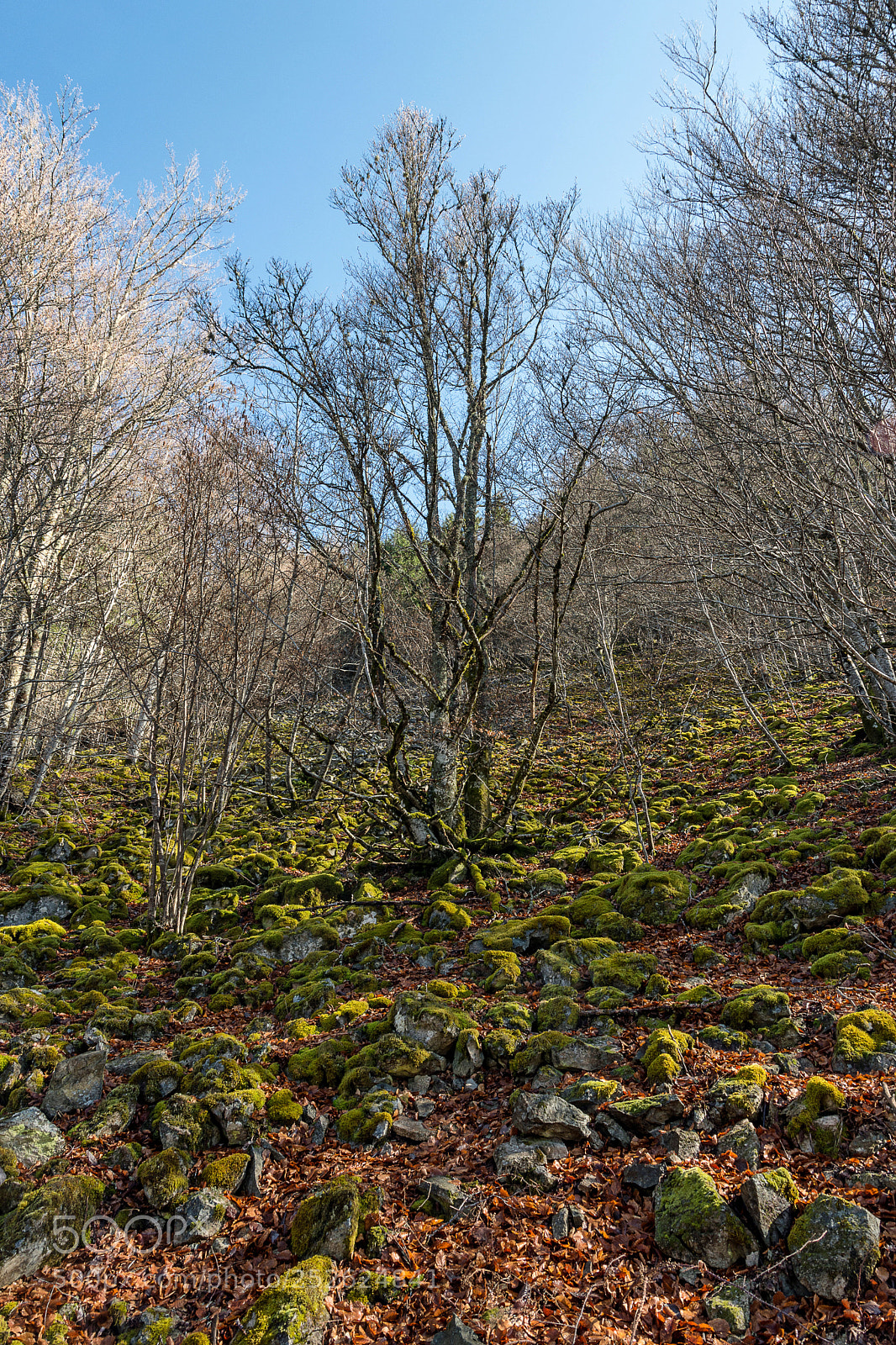 Nikon D7200 sample photo. Gletscherkessel präg photography