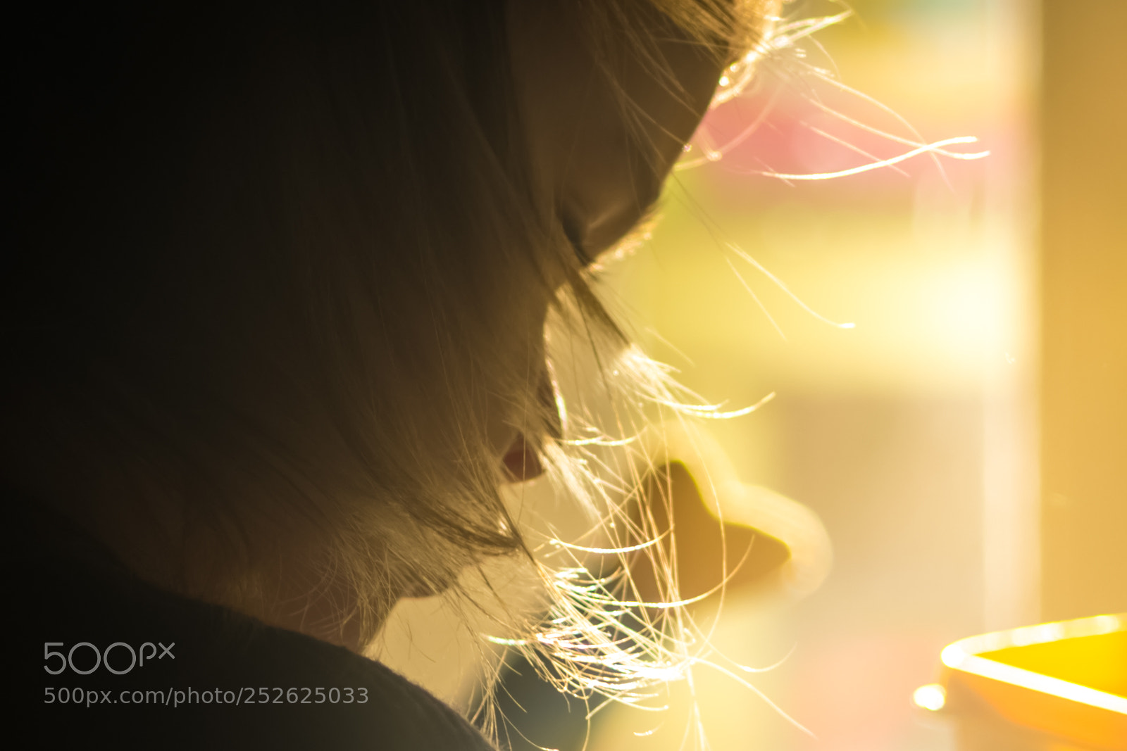 Nikon D5300 sample photo. Alice back photography