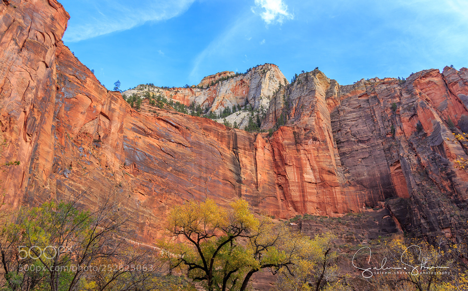 Canon EOS 700D (EOS Rebel T5i / EOS Kiss X7i) sample photo. This is zion... photography