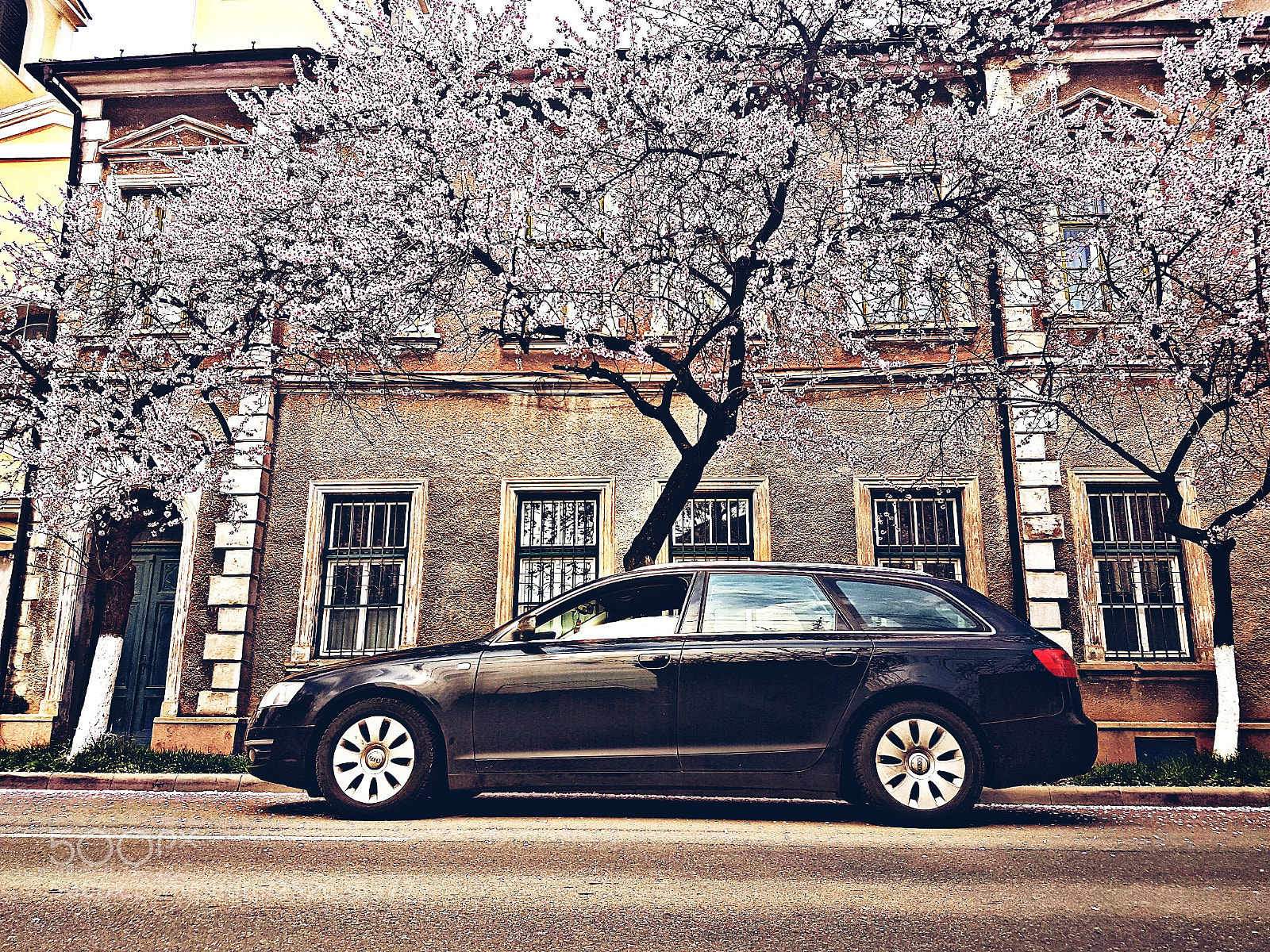 Samsung Galaxy S7 Edge sample photo. Spring audi photography