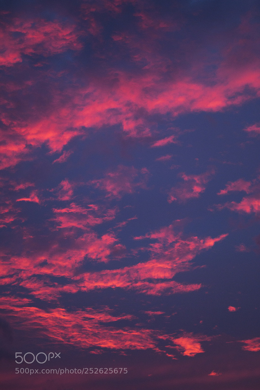 Canon EOS 70D sample photo. Close up sunset photography