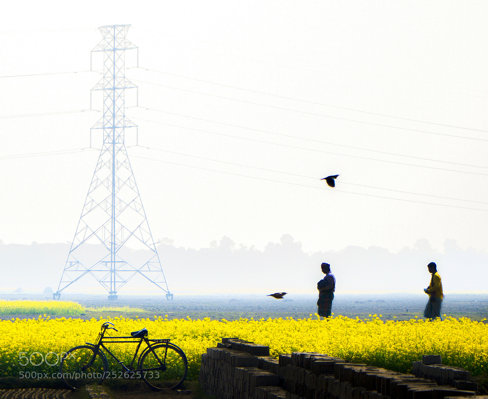 Canon EOS 70D sample photo. In quest of colors photography