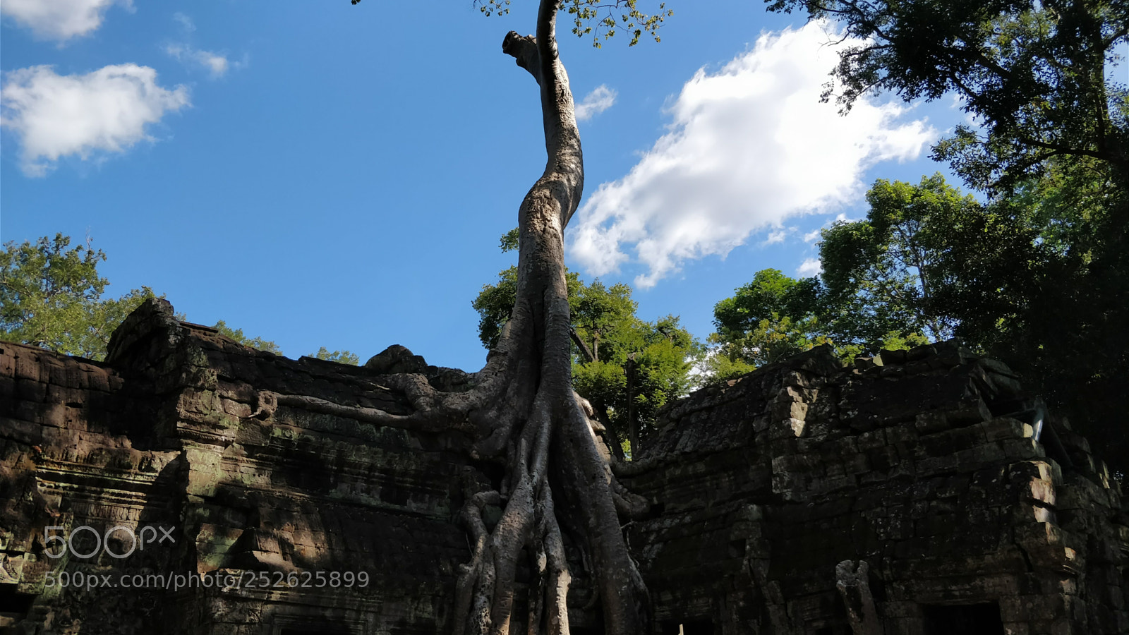 OnePlus 5 sample photo. Img_20171216_135951.jpg photography