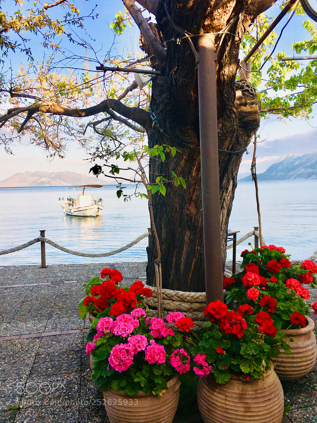 Apple iPhone 6s sample photo. Yard of greek tavern photography
