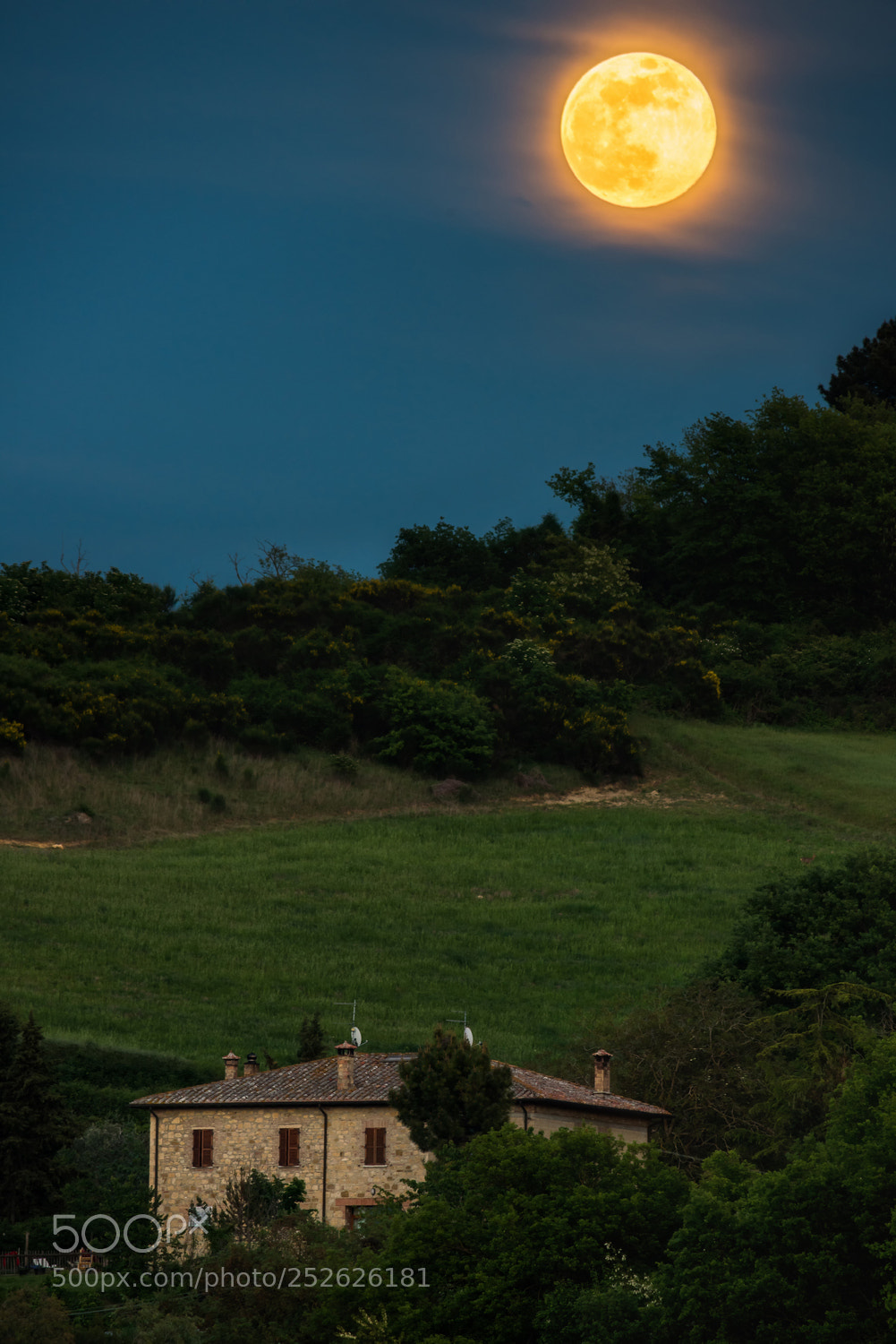 Nikon D810 sample photo. A warm evening in photography