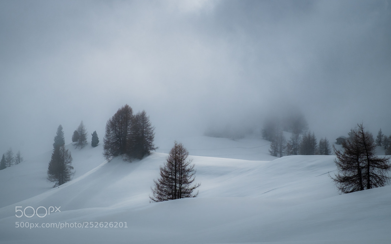 Fujifilm X-E1 sample photo. Foggy snow photography