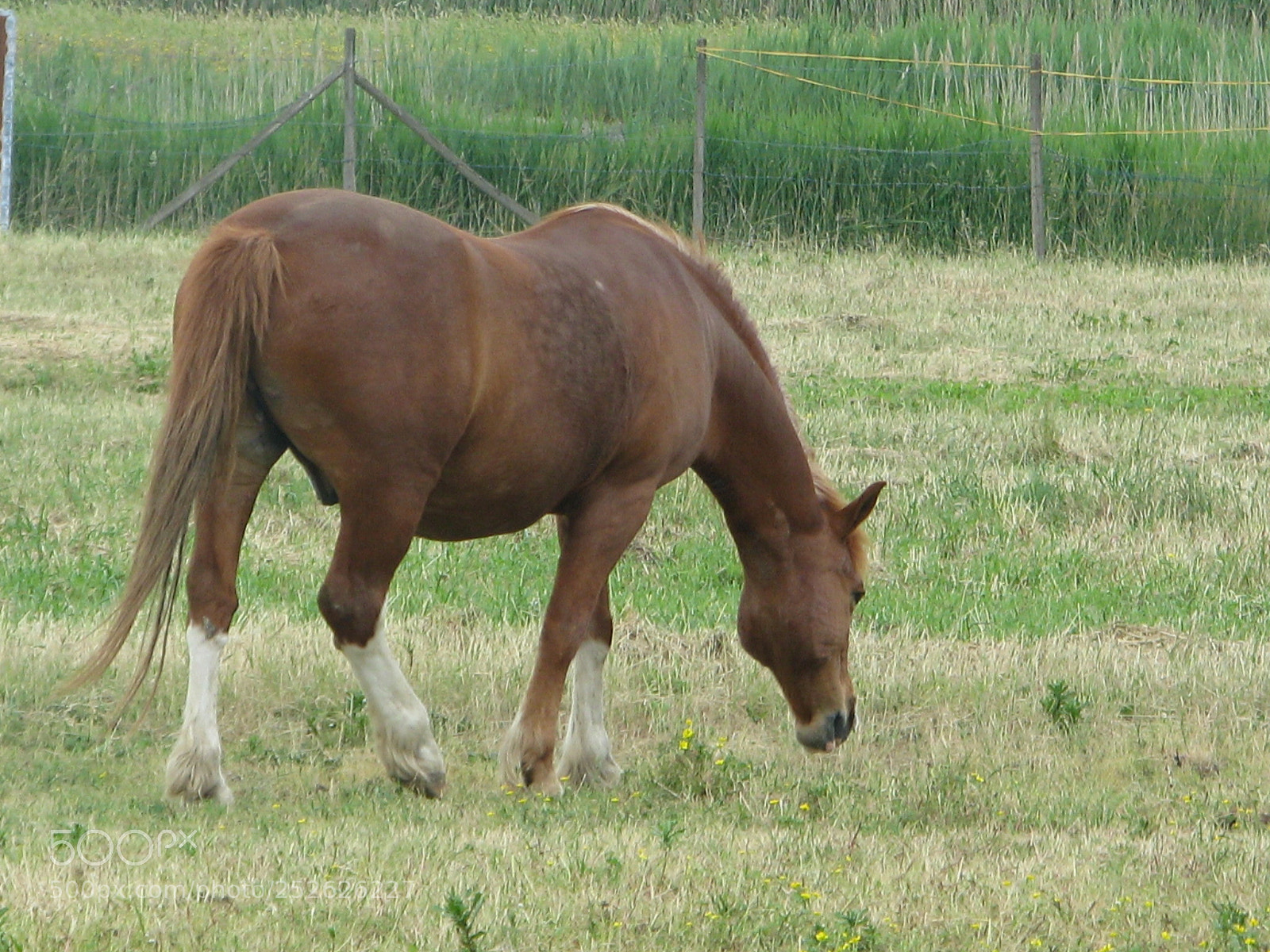 Canon POWERSHOT S5 IS sample photo. Untitled photography