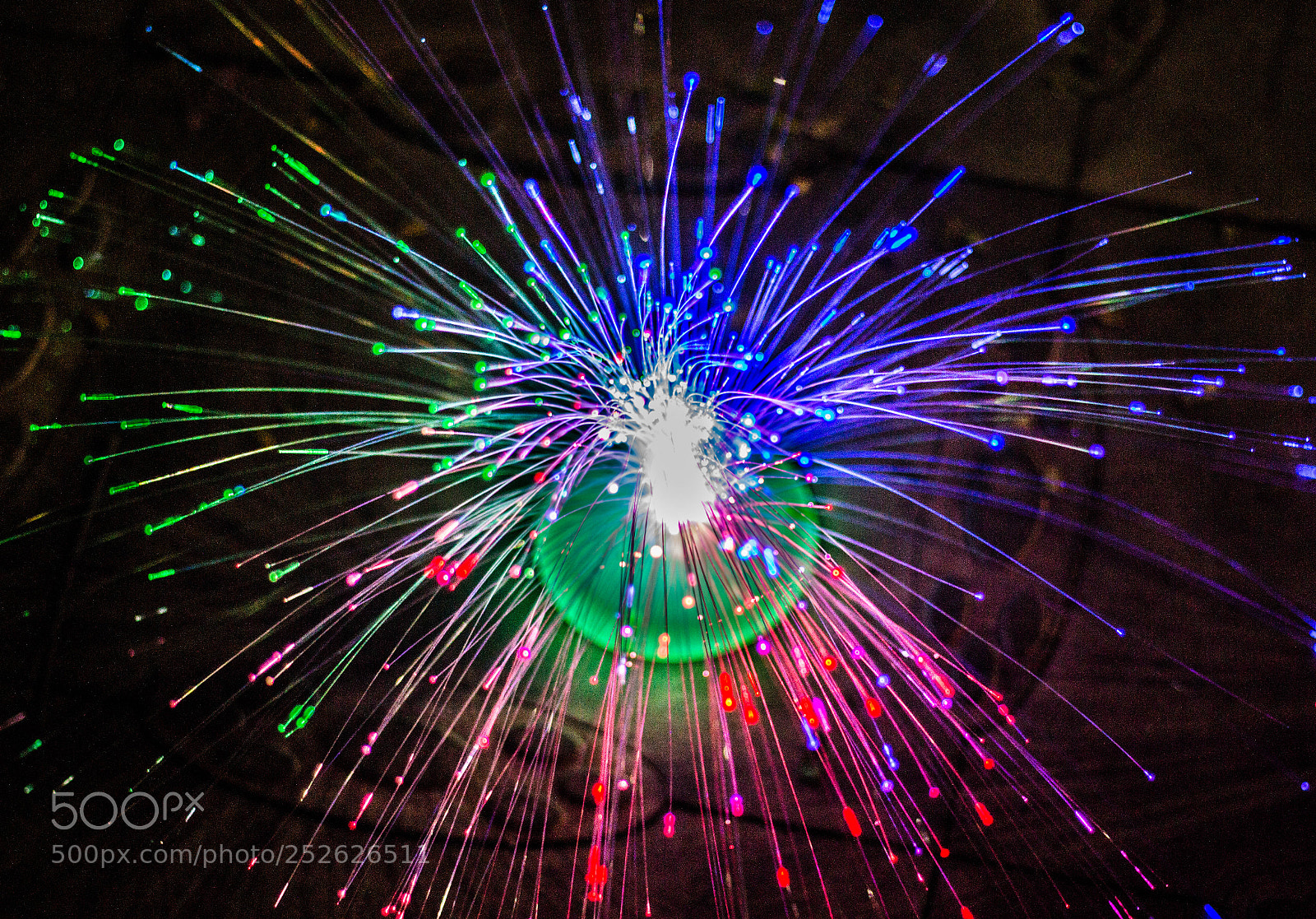 Canon EOS 70D sample photo. Light photography