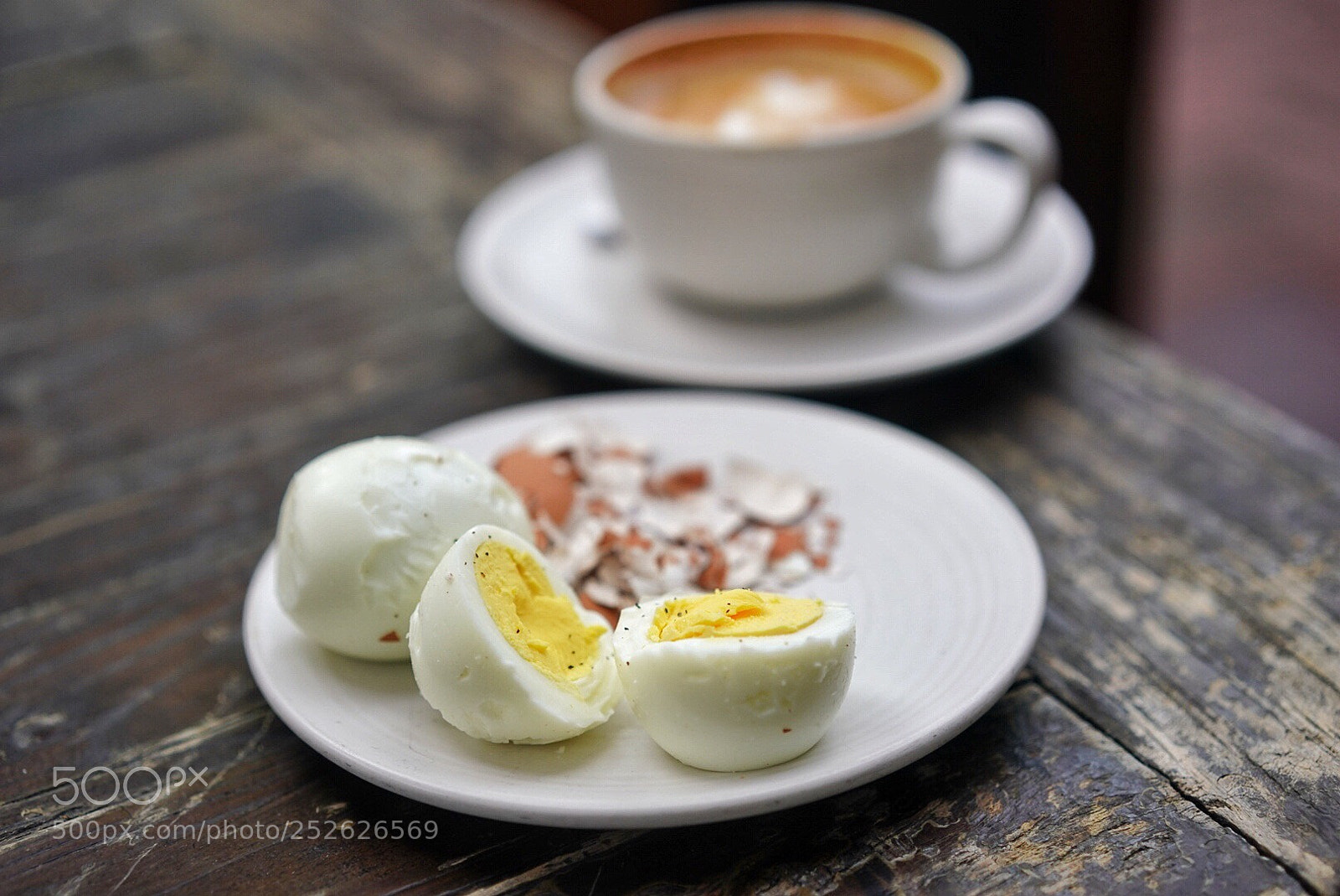 Sony a9 sample photo. Wilfred s morning cappuccino photography