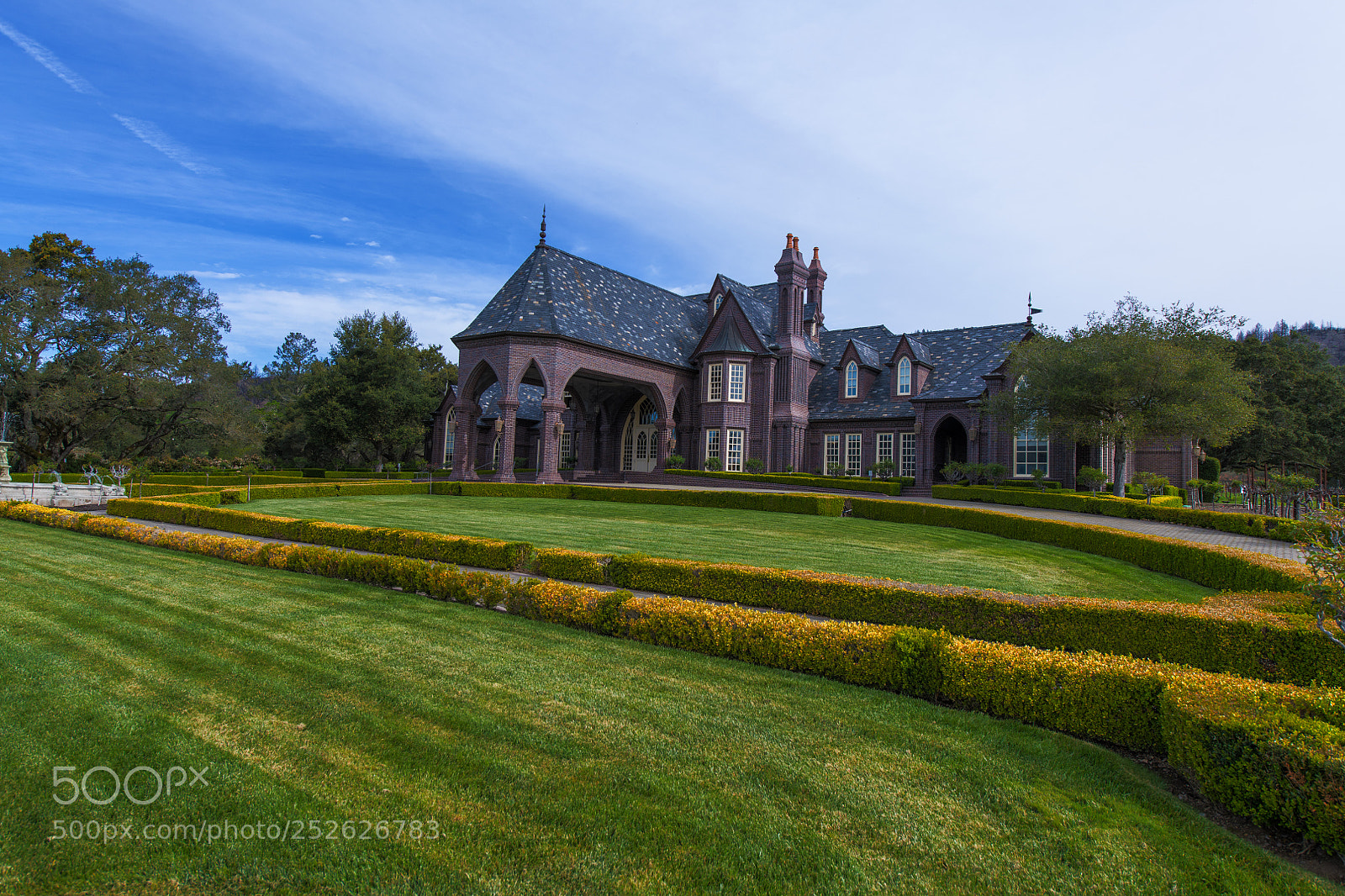 Nikon D850 sample photo. Ledson winery photography