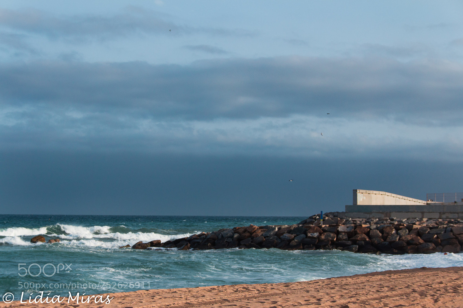 Canon EOS 700D (EOS Rebel T5i / EOS Kiss X7i) sample photo. Cloudy and windy seashore photography