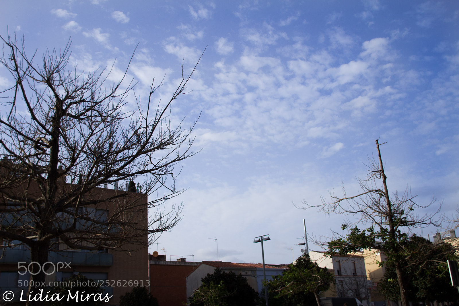 Canon EOS 700D (EOS Rebel T5i / EOS Kiss X7i) sample photo. Cels canviant photography