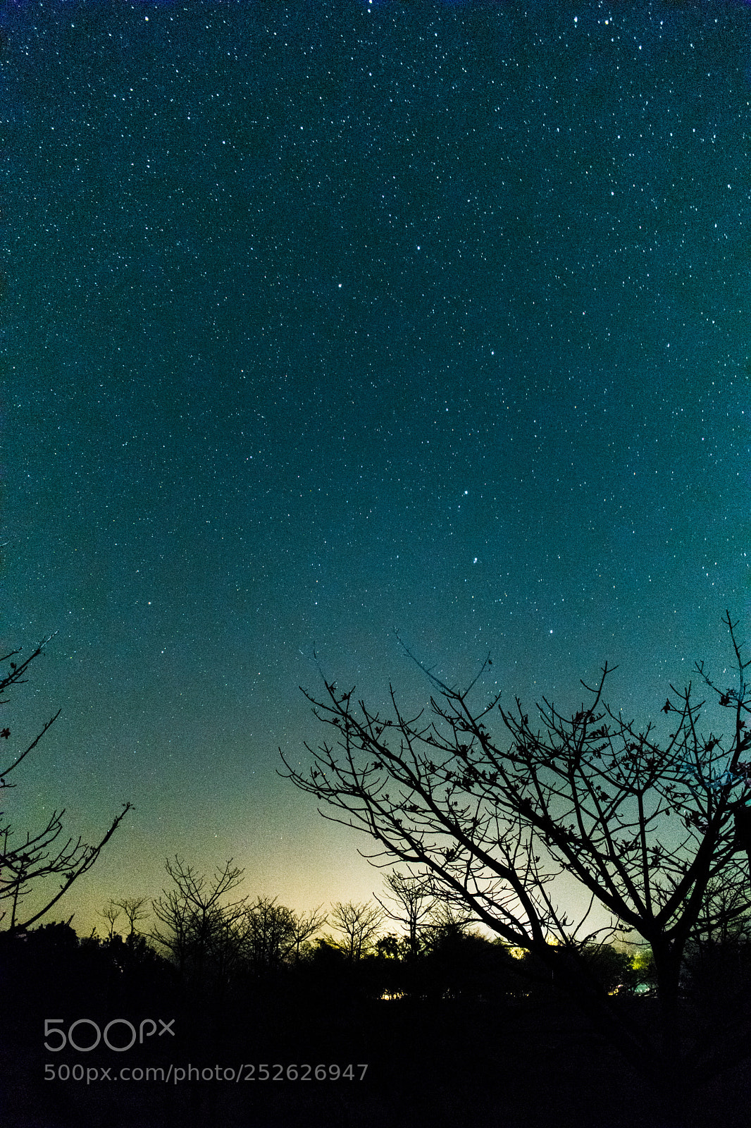 Nikon D5300 sample photo. Sky full of stars photography
