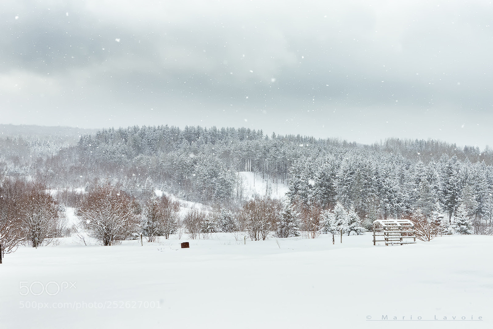 Canon EOS 6D Mark II sample photo. St-raphael hiver neige photography