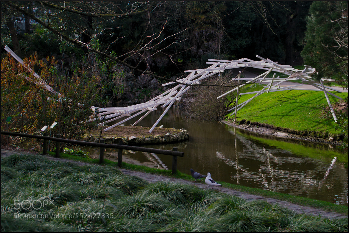 Pentax K20D sample photo. Balade en couple photography