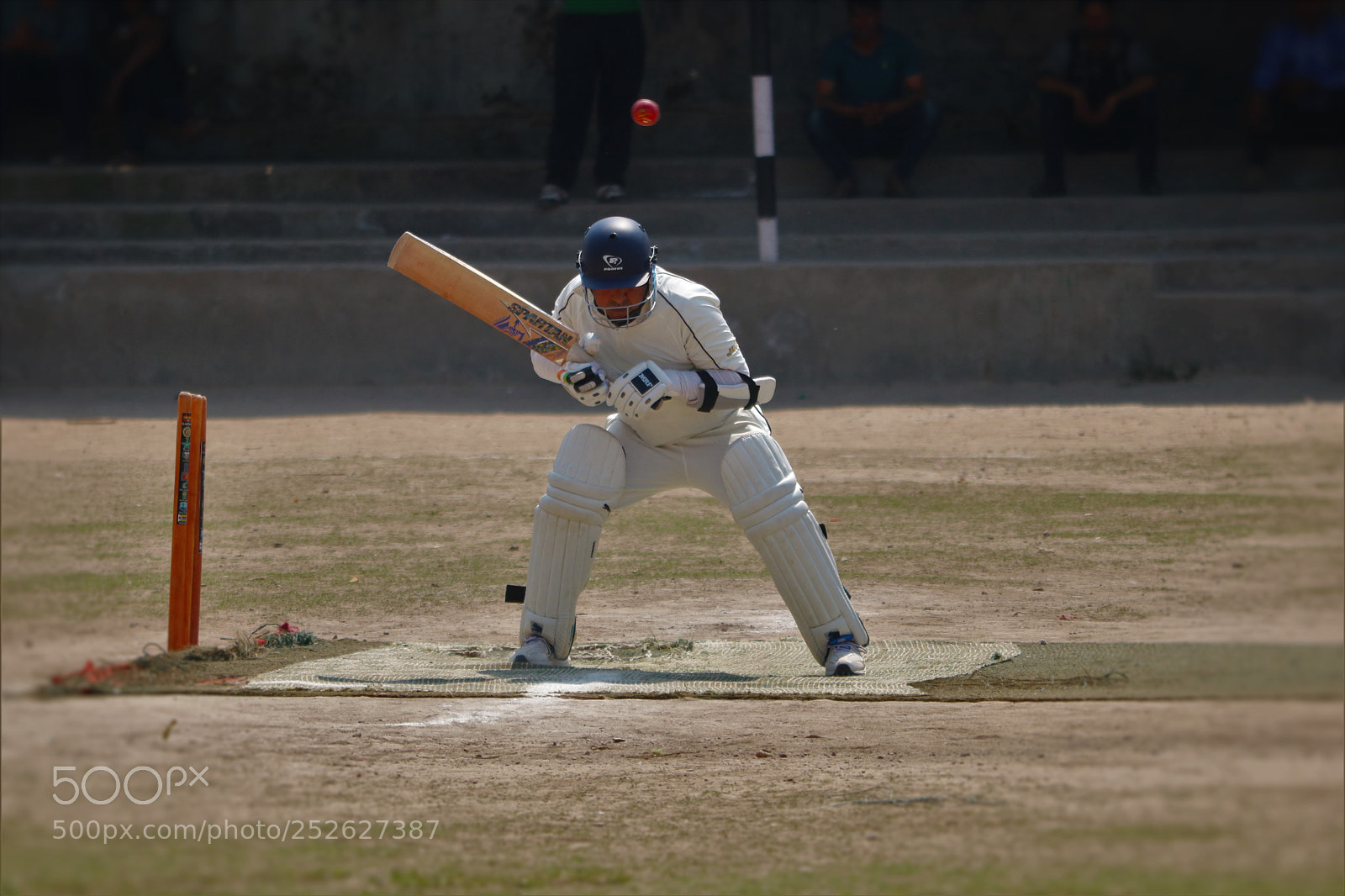 Canon EOS 750D (EOS Rebel T6i / EOS Kiss X8i) sample photo. Cricket photography