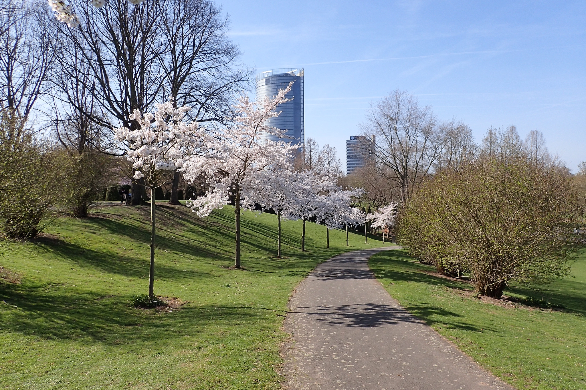 Olympus TG-3 sample photo. Kirschblüten vor dem posttower photography