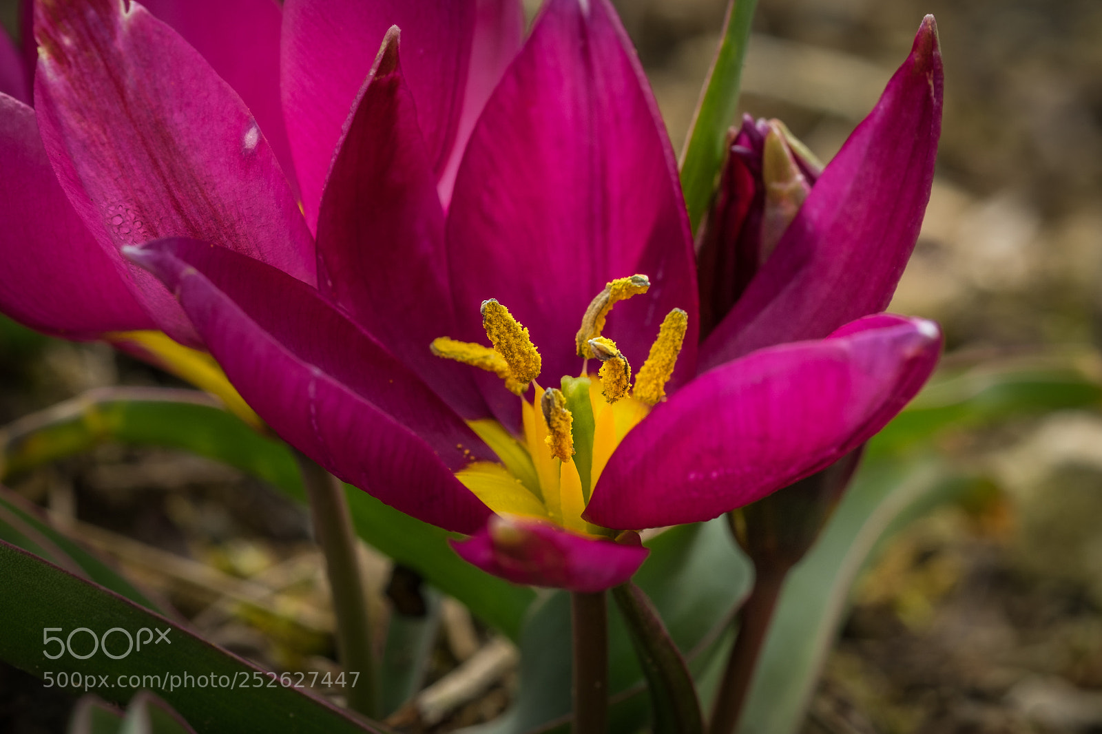 Fujifilm X-T1 sample photo. Unbekannt , leider keinen photography