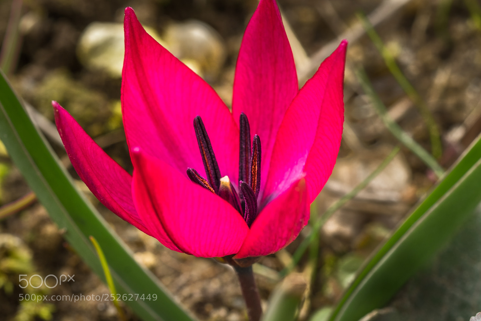 Fujifilm X-T1 sample photo. Unbekannt , leider keinen photography