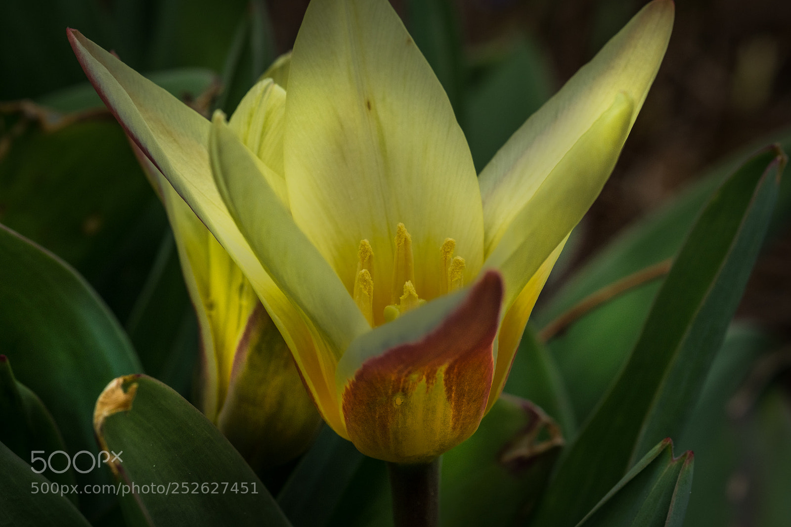 Fujifilm X-T1 sample photo. Unbekannt , leider keinen photography