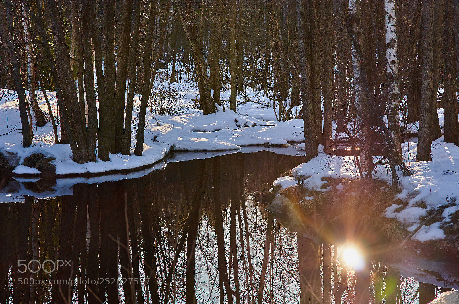 Nikon D5100 sample photo. 187068.jpg photography