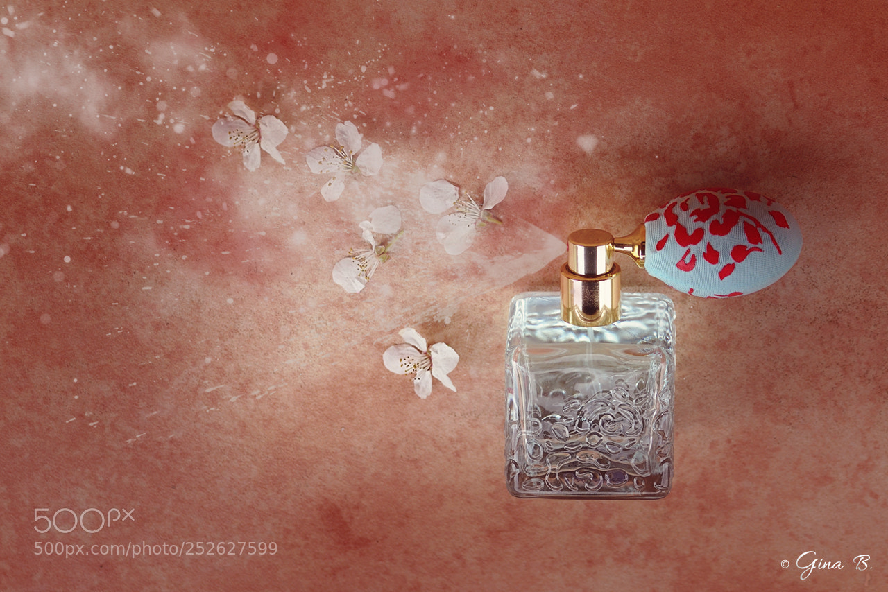 Nikon D300 sample photo. Spring fragrance photography