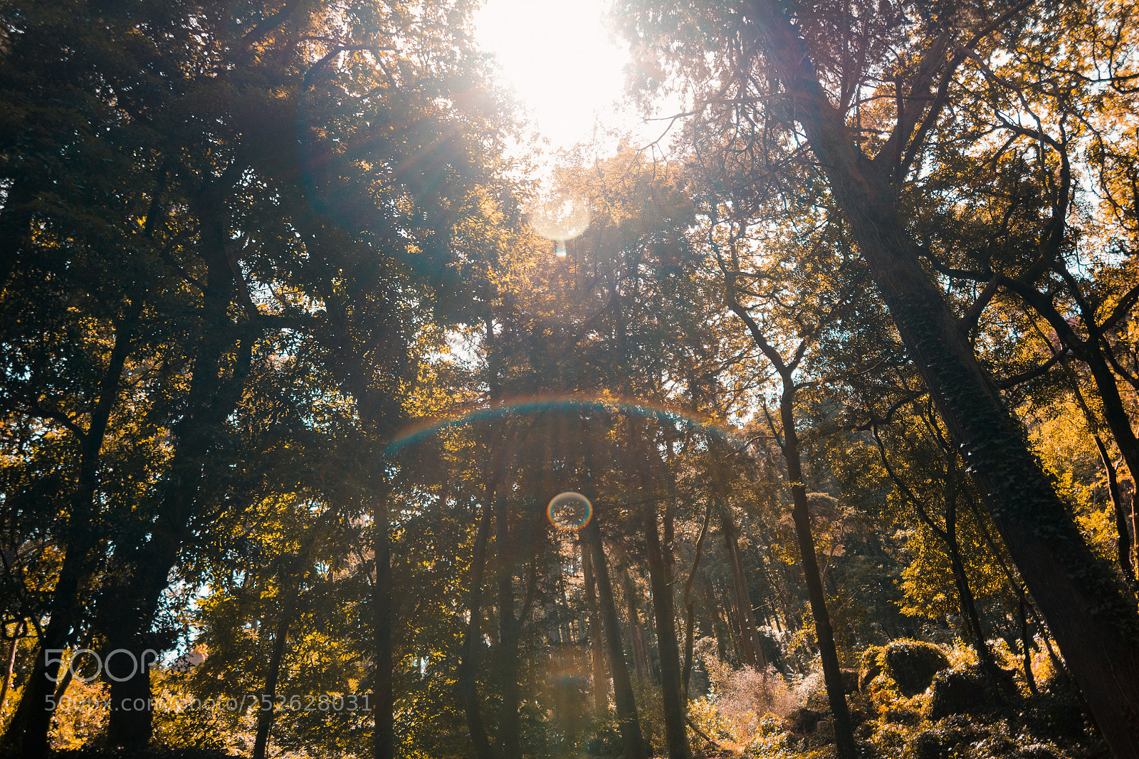 Nikon D3300 sample photo. Sintra photography