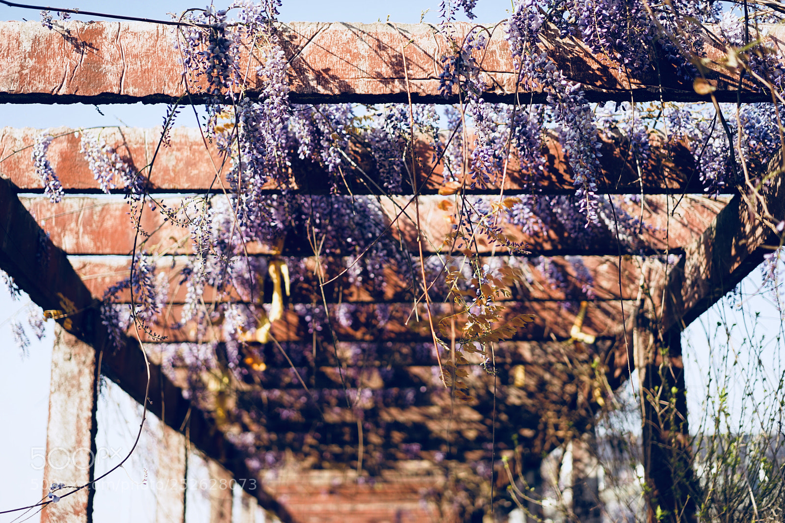 Sony a7 sample photo. Untitled photography