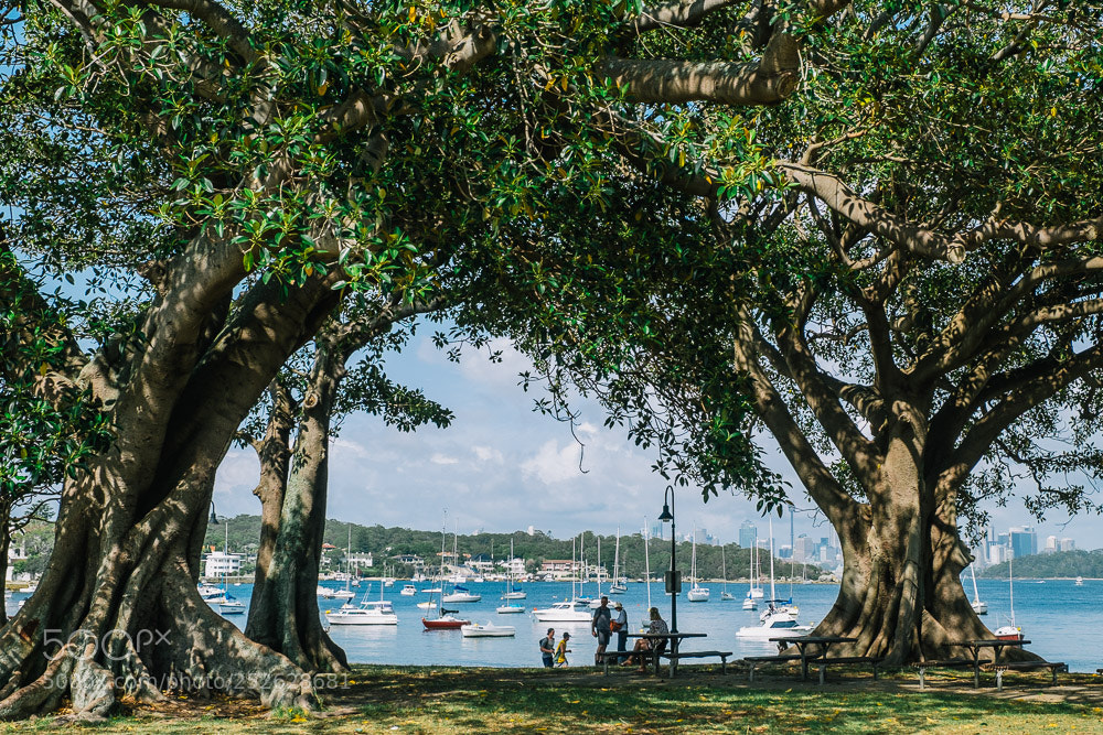 Fujifilm X-T1 sample photo. In australia photography