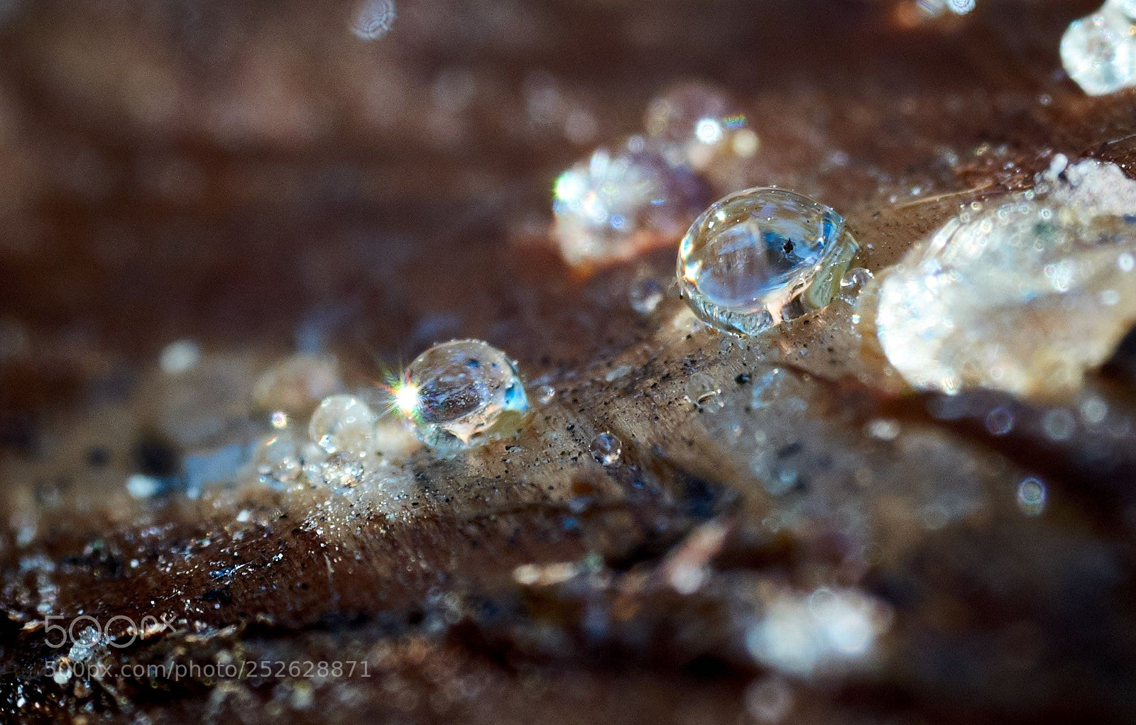 Fujifilm X-M1 sample photo. Resin in sunrays photography