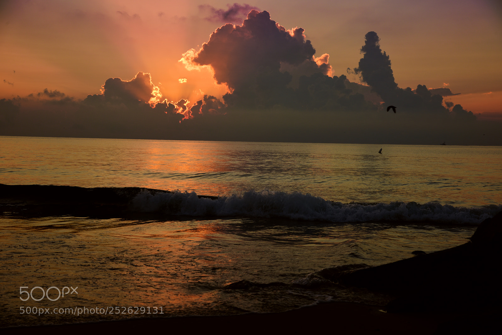 Nikon D810 sample photo. Rays birds breakers photography