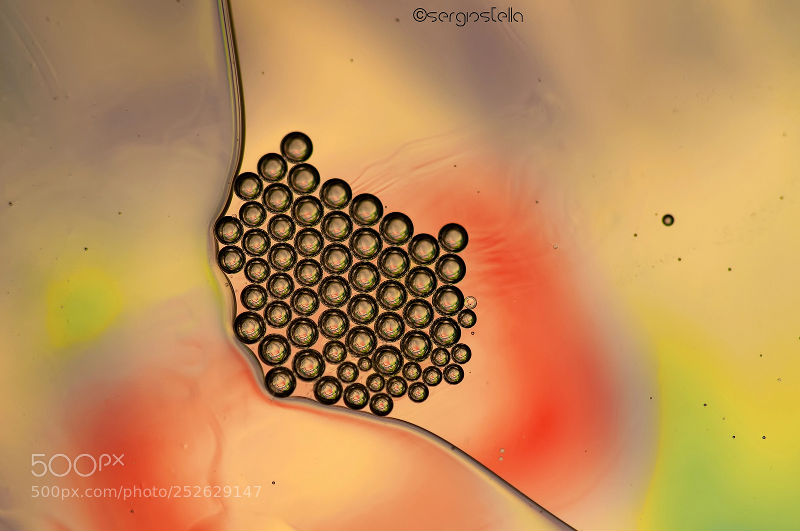 Nikon D90 sample photo. Eggs______ photography