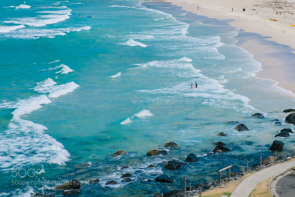 Fujifilm X-T1 sample photo. In australia photography