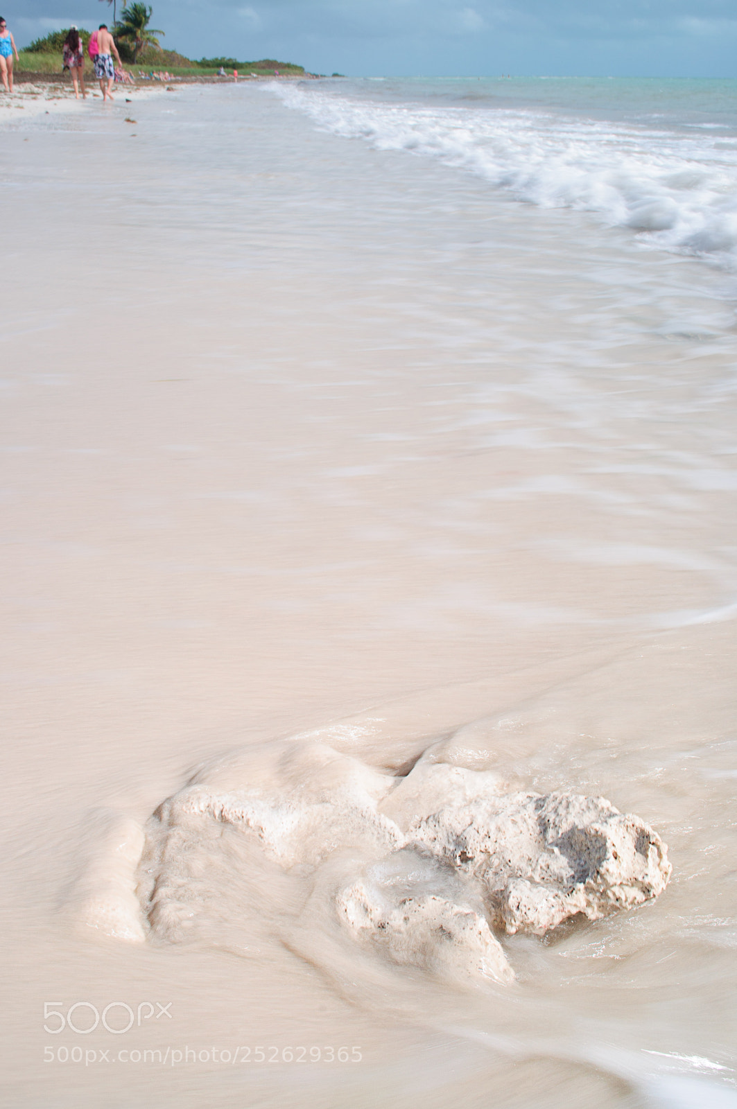 Nikon D5000 sample photo. Edit photography