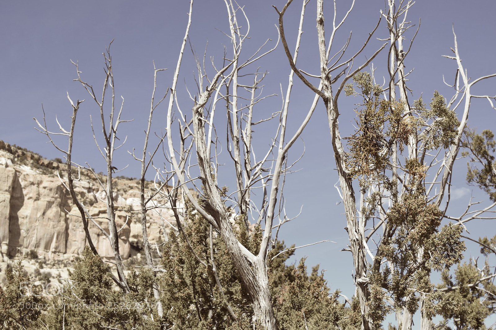 Nikon D5300 sample photo. El malpais national conservation photography