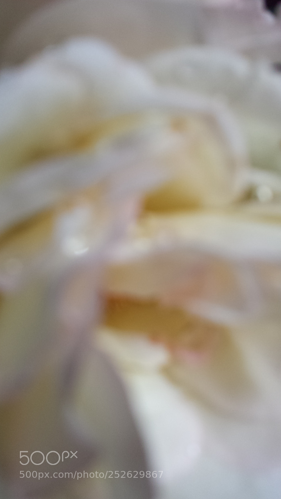Samsung Galaxy S4 sample photo. Untitled photography
