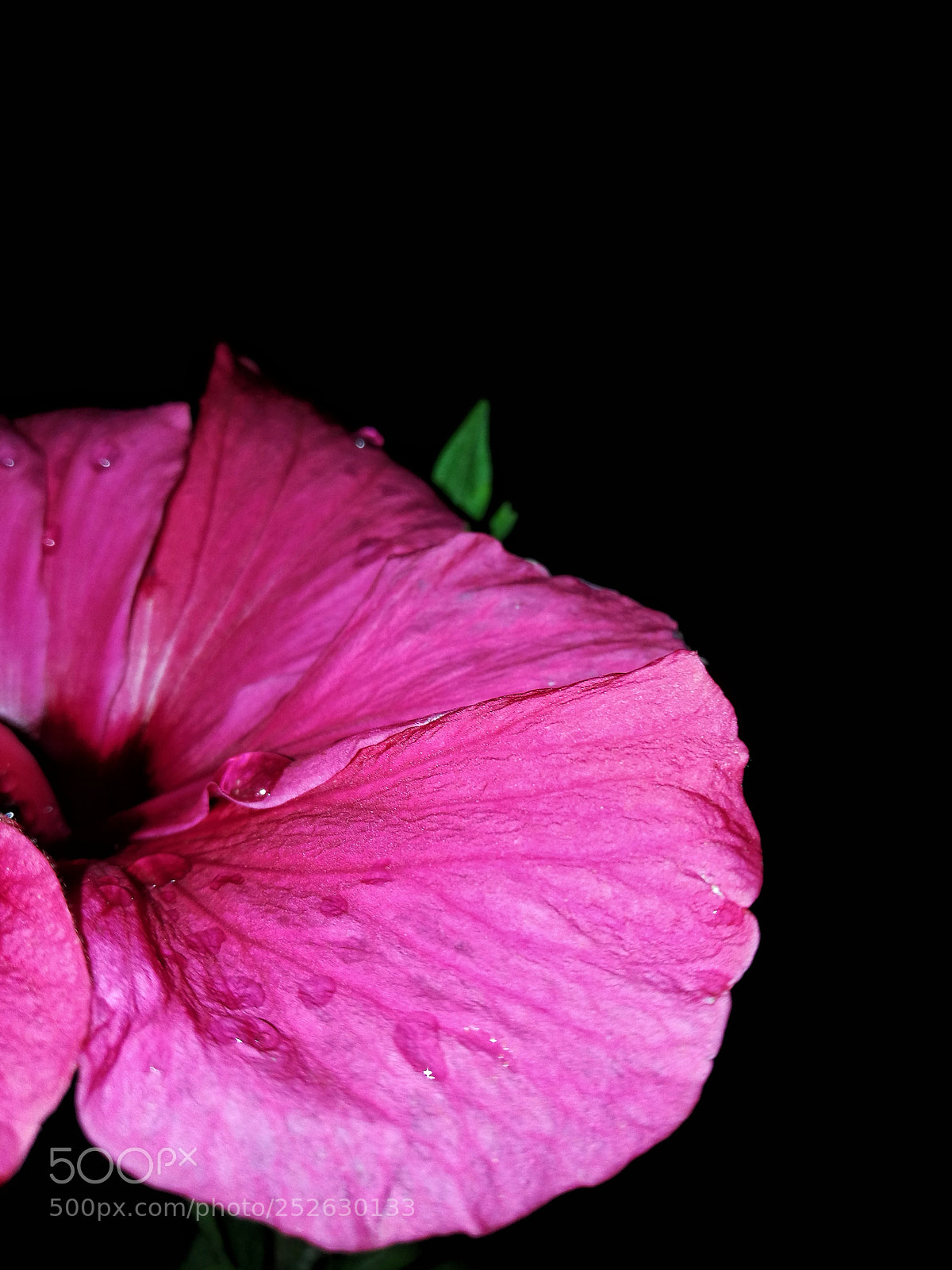 HUAWEI P9 sample photo. Untitled photography