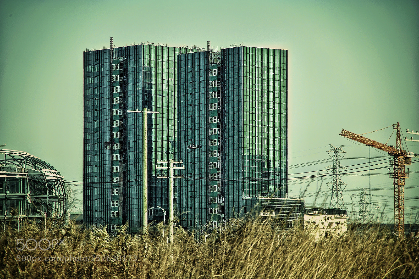 Pentax K-5 II sample photo. Untitled photography